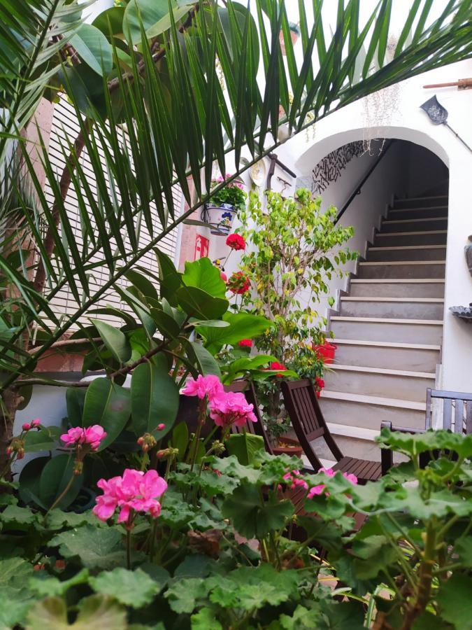 Casa Museo Jerez Centro Διαμέρισμα Χέρεζ Εξωτερικό φωτογραφία