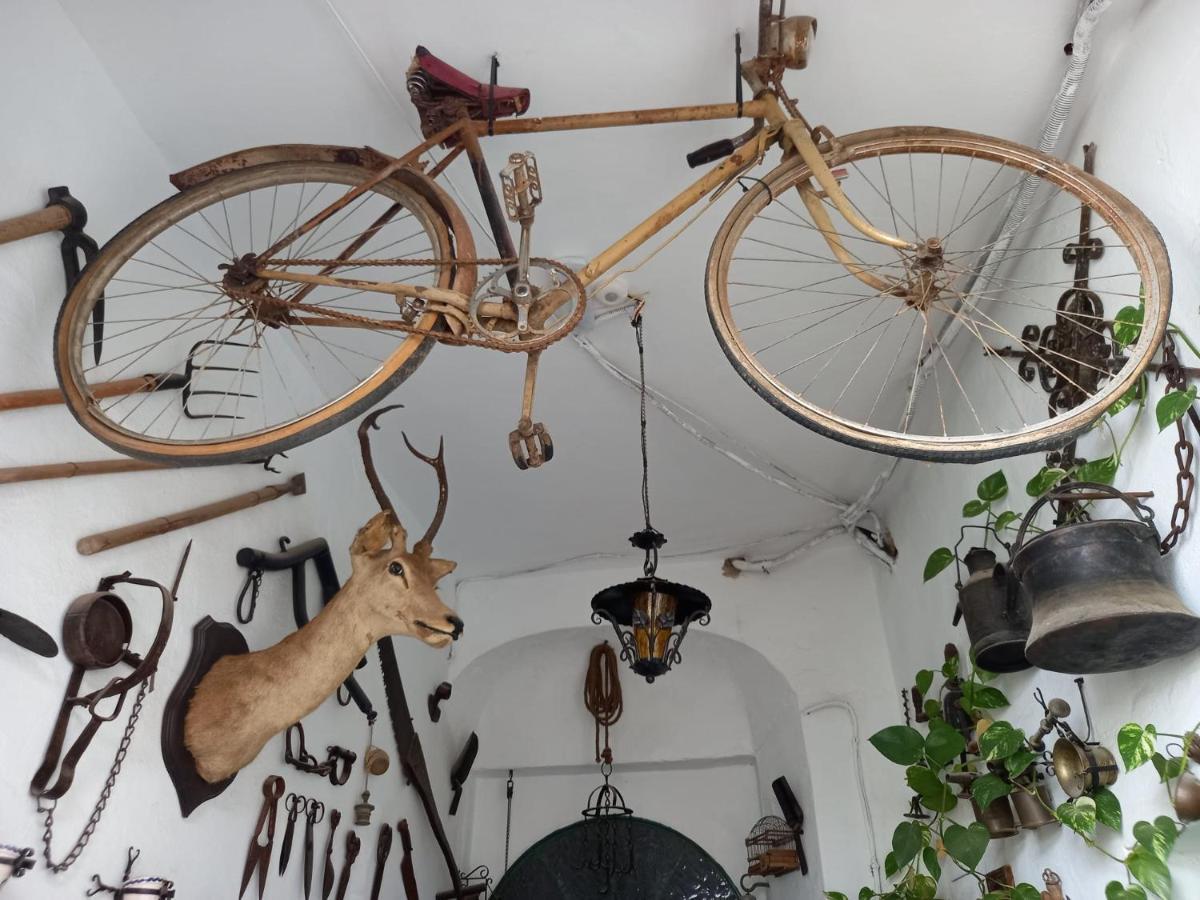 Casa Museo Jerez Centro Διαμέρισμα Χέρεζ Εξωτερικό φωτογραφία