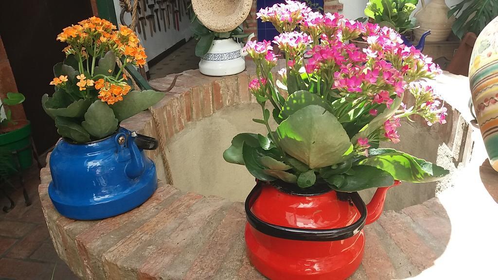Casa Museo Jerez Centro Διαμέρισμα Χέρεζ Εξωτερικό φωτογραφία